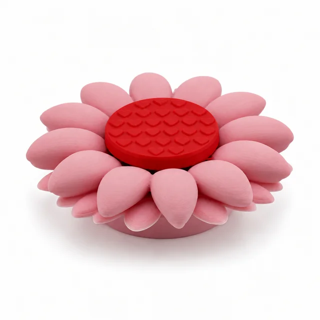 A pink daisy with a red, heart-patterned center.